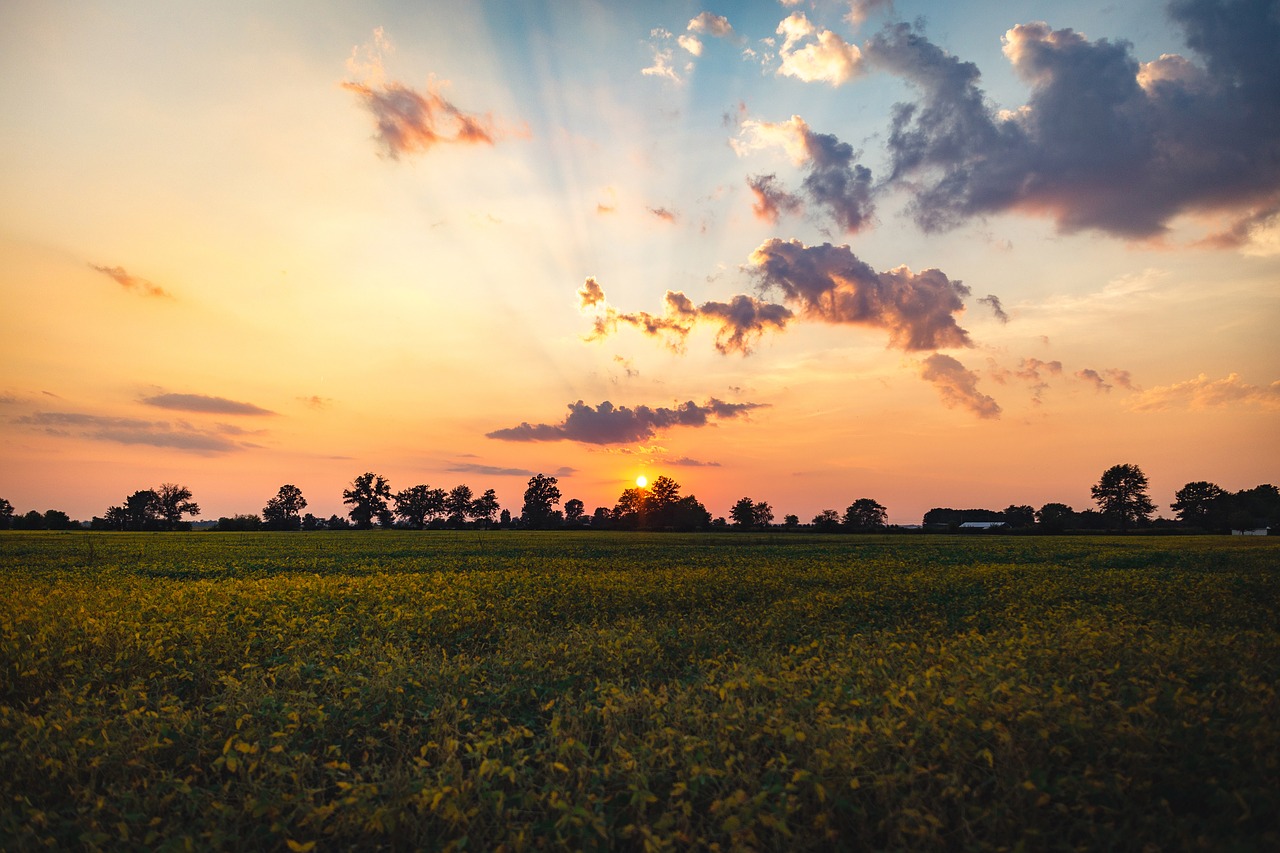 sunset dusk sky free photo