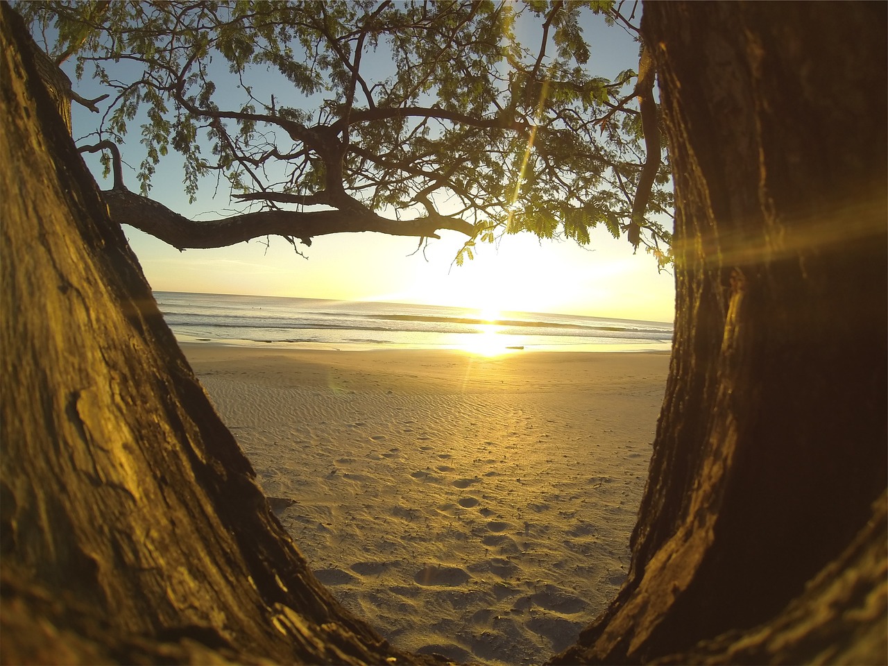 sunset beach sand free photo