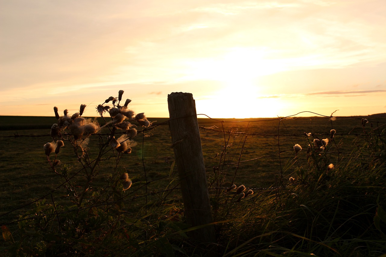 sunset mood sky free photo