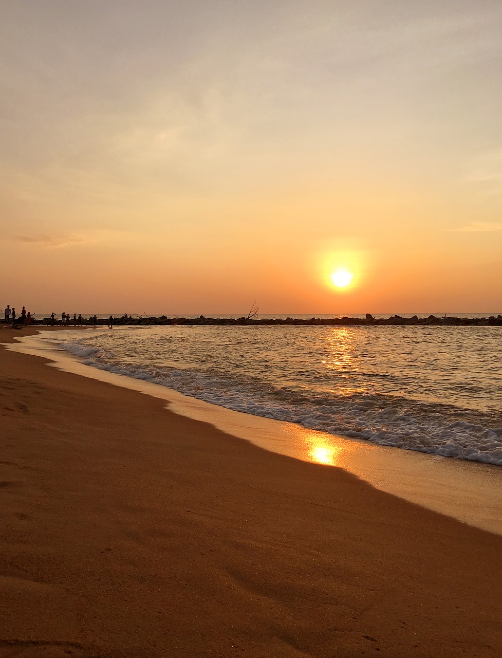 sunset sri lanka beach free photo