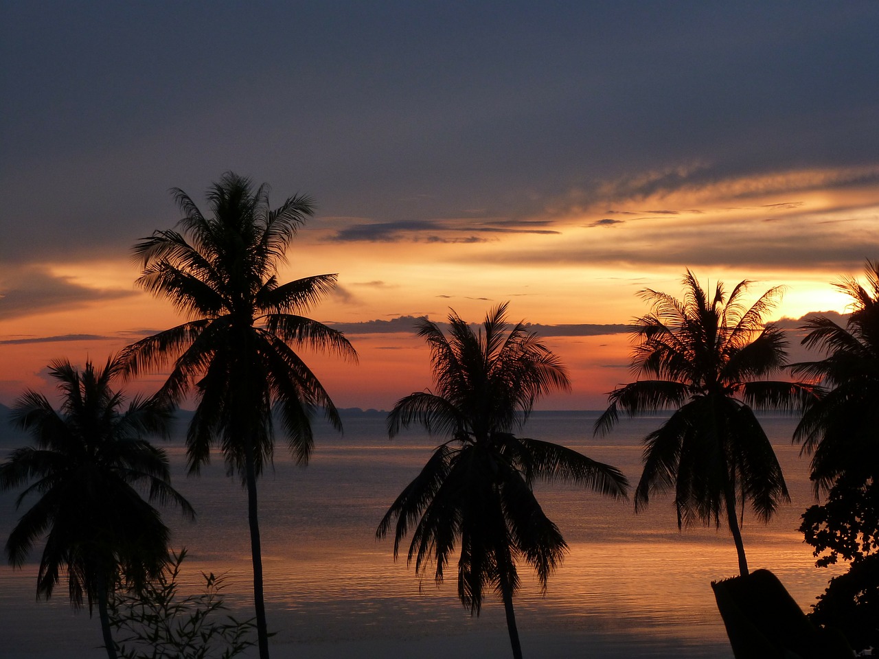 Sunset,palm Trees,beach,golden,free Pictures   Free Image From Needpixcom