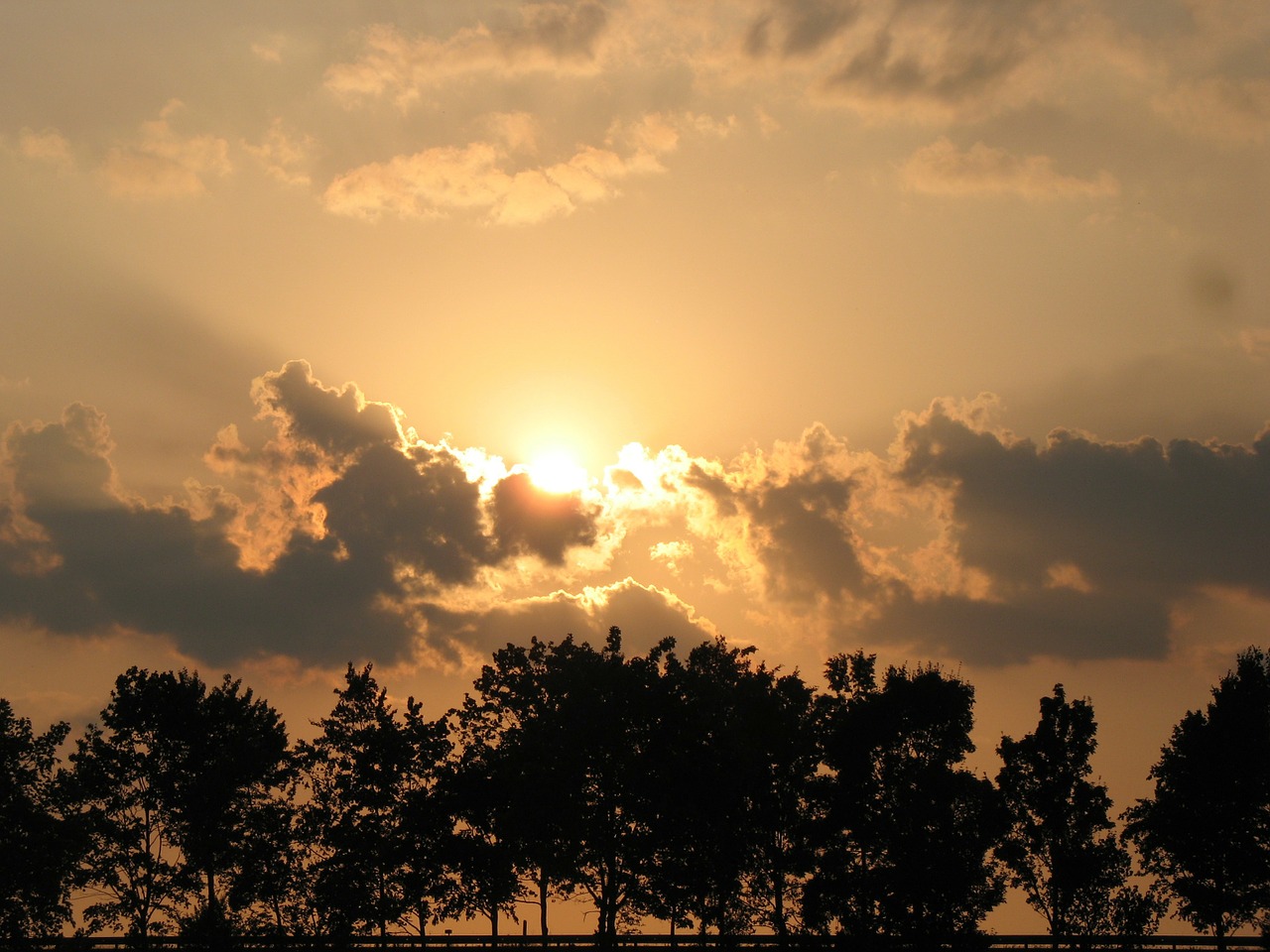 sunset abendstimmung trees free photo