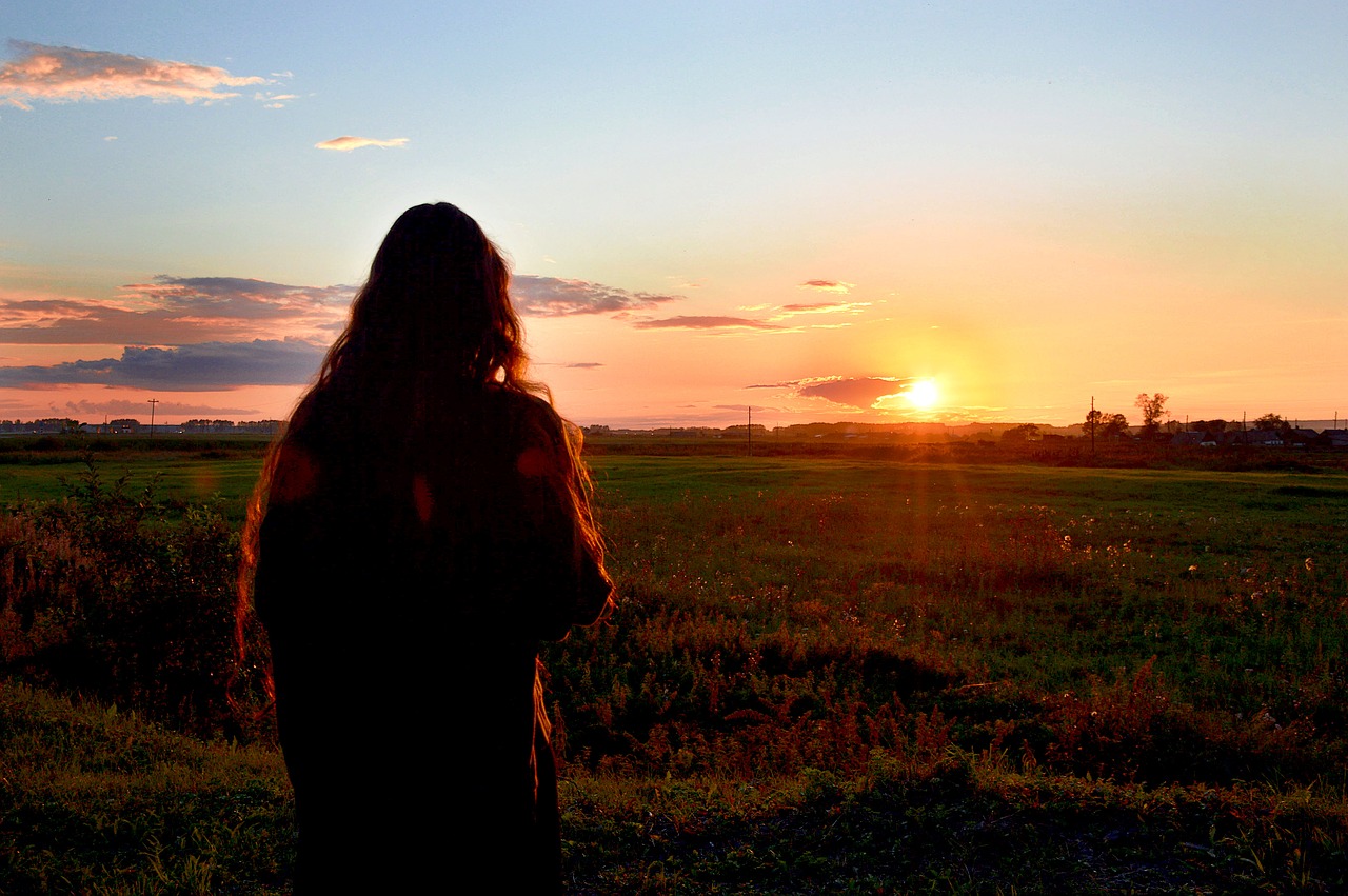 sunset nature summer evening free photo