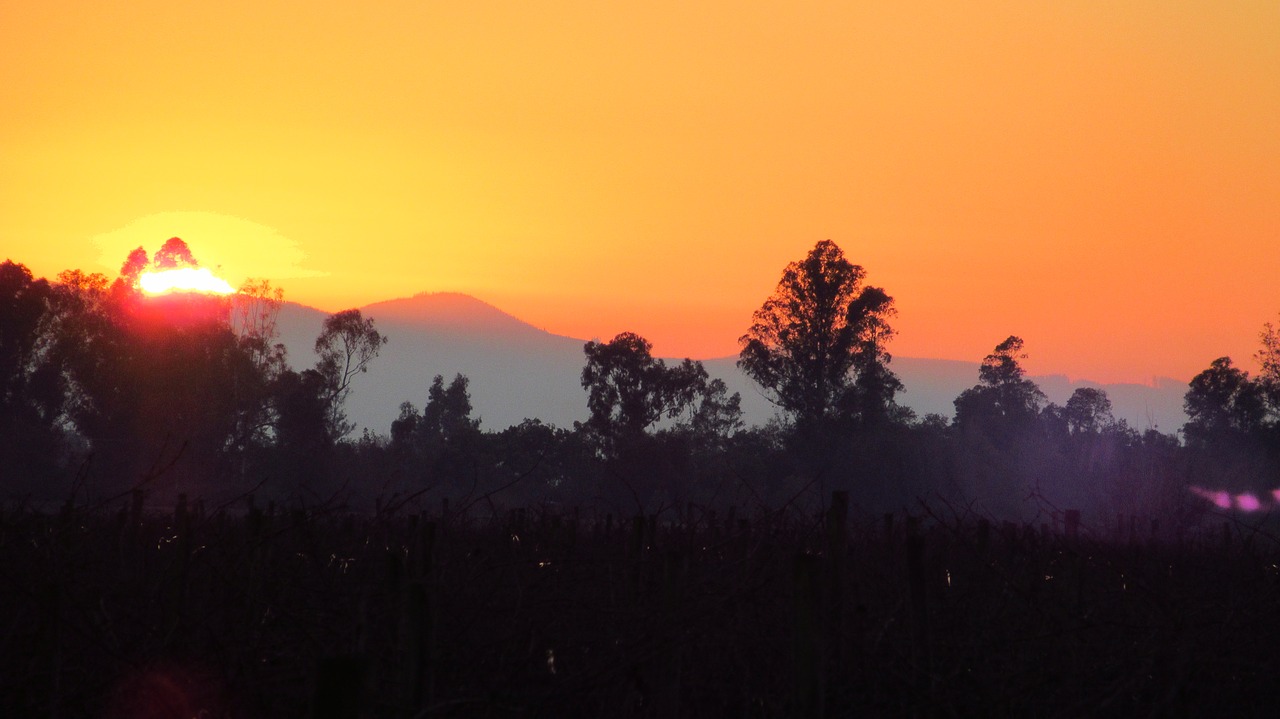 sunset landscape sun free photo