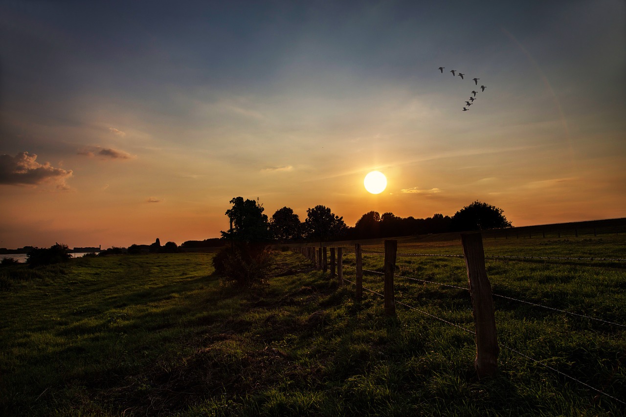 sunset evening sky sky free photo