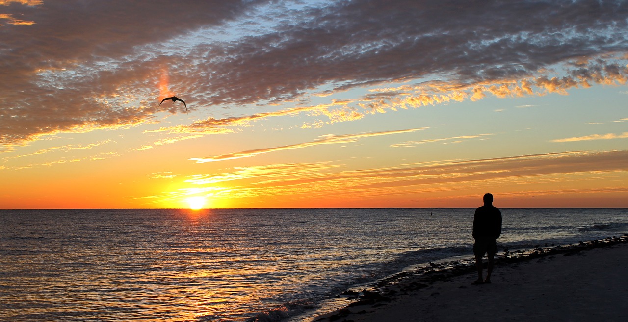 sunset fort meyers free photo