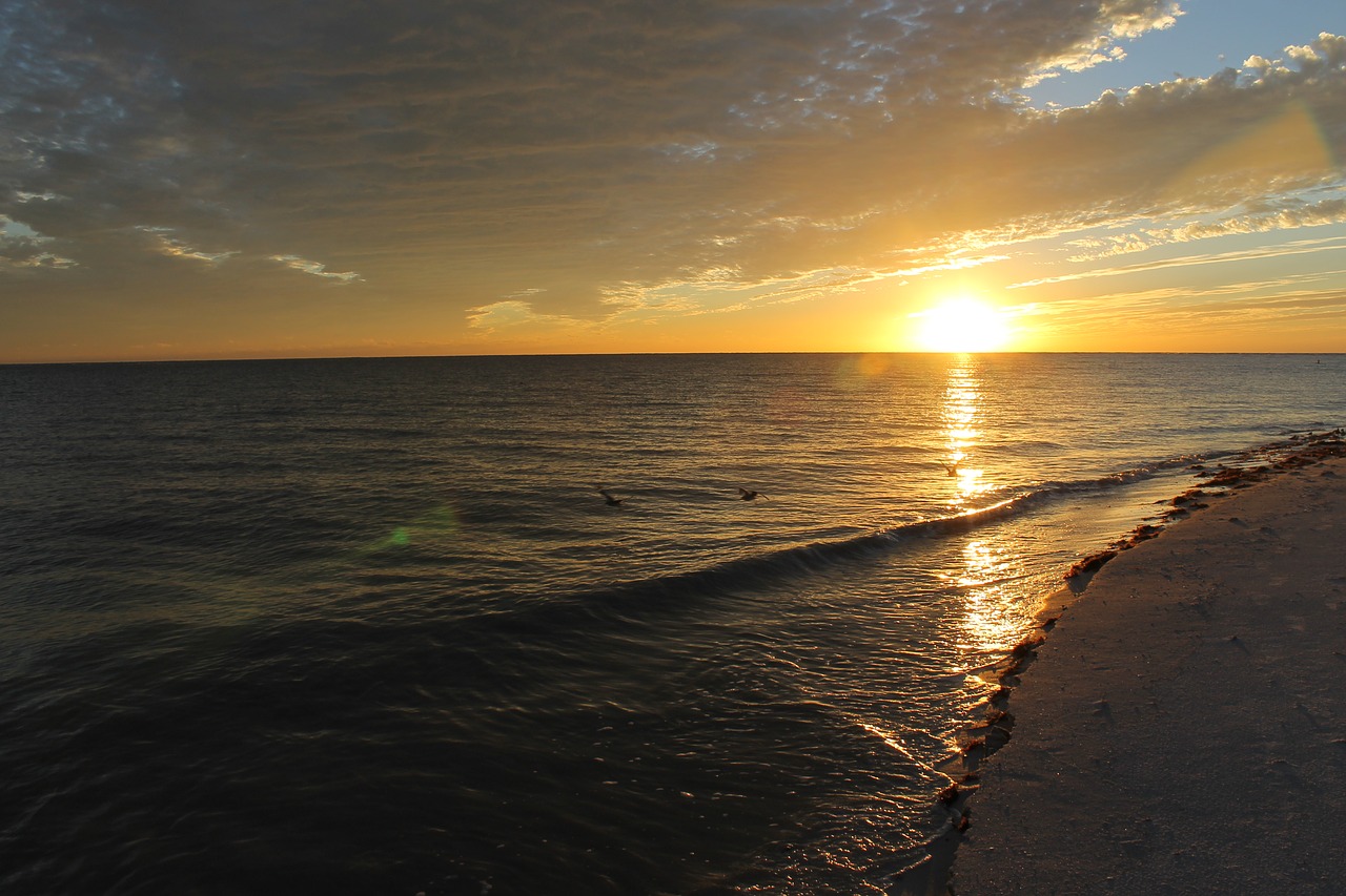 sunset fort meyers free photo