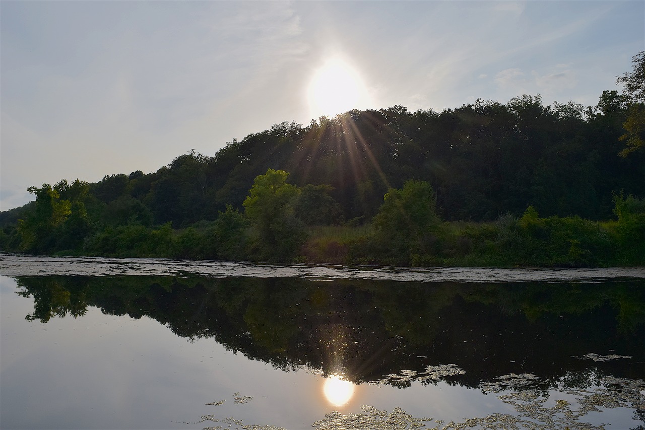 sunset lake trees free photo