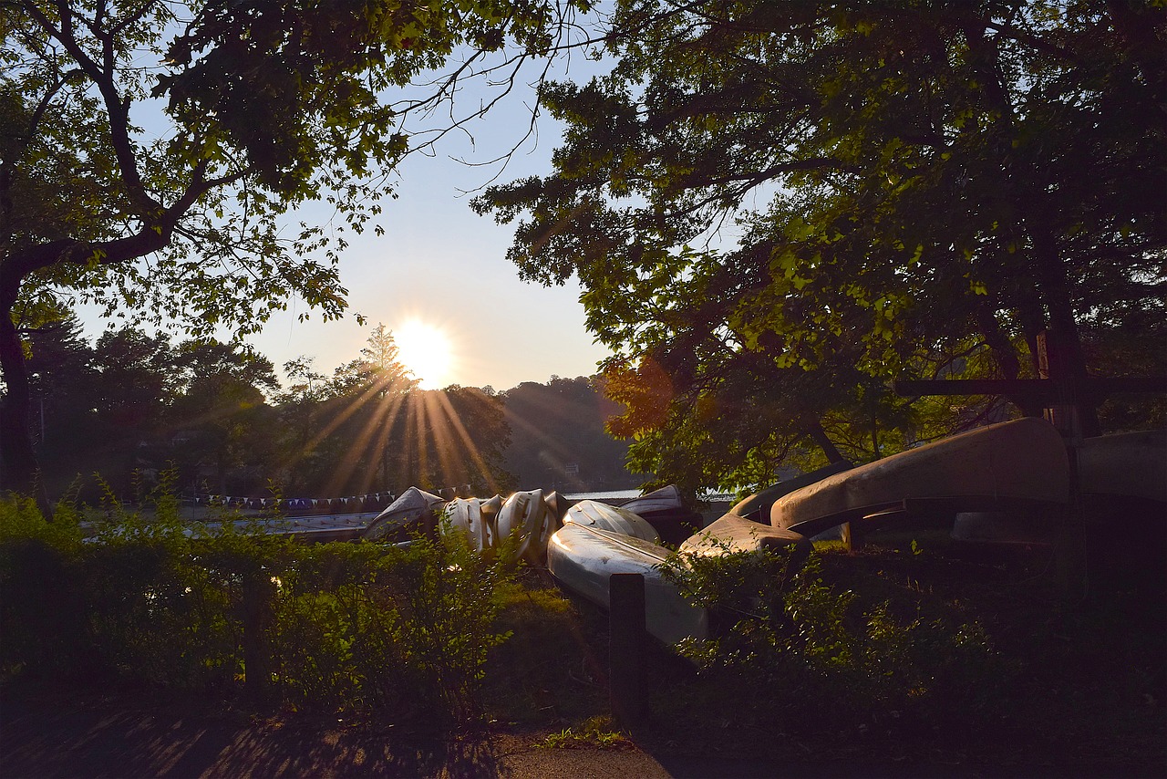 sunset canoes trees free photo