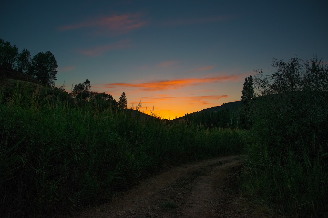 sunset path free pictures free photo