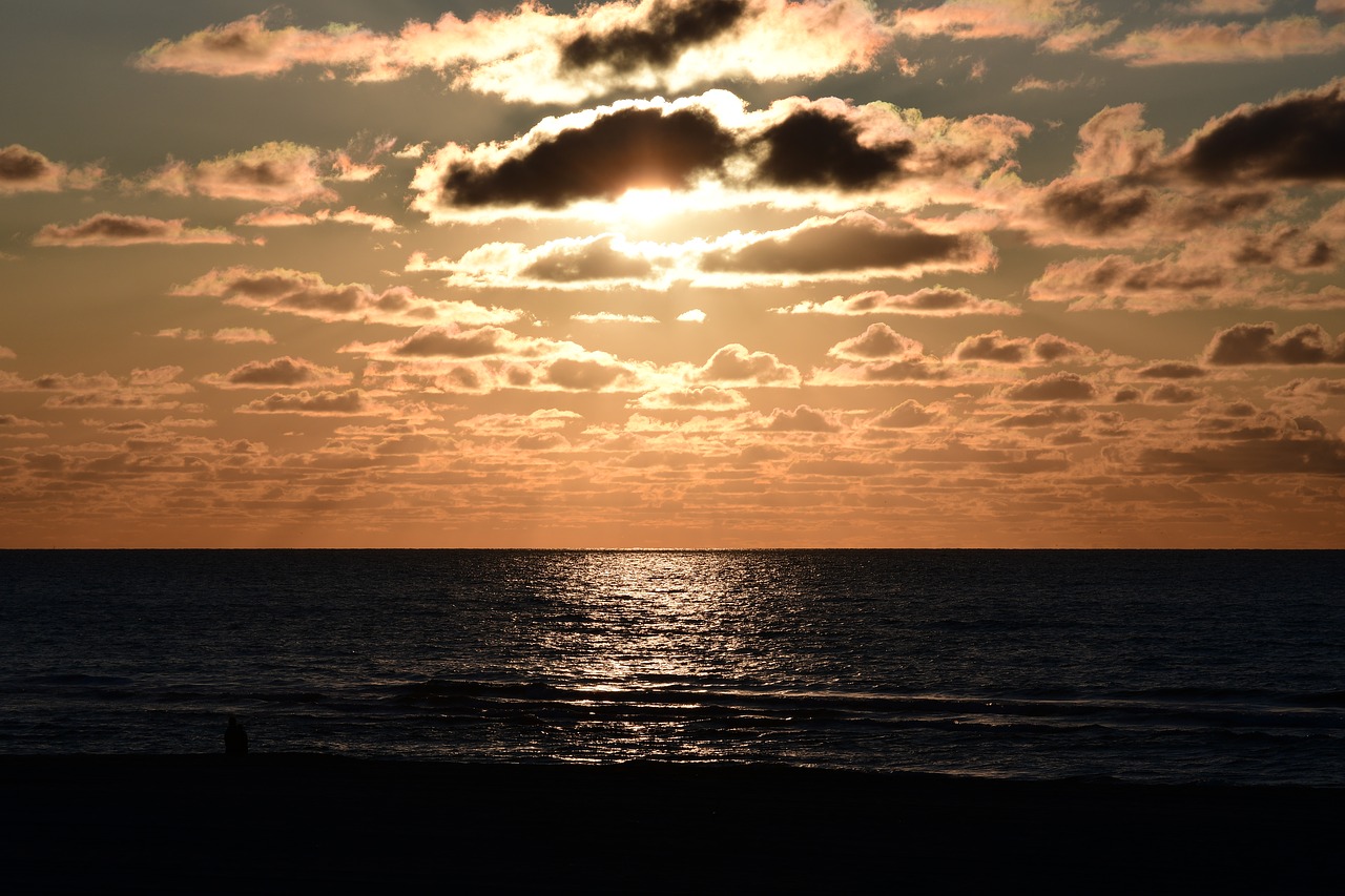 sunset horizon evening free photo