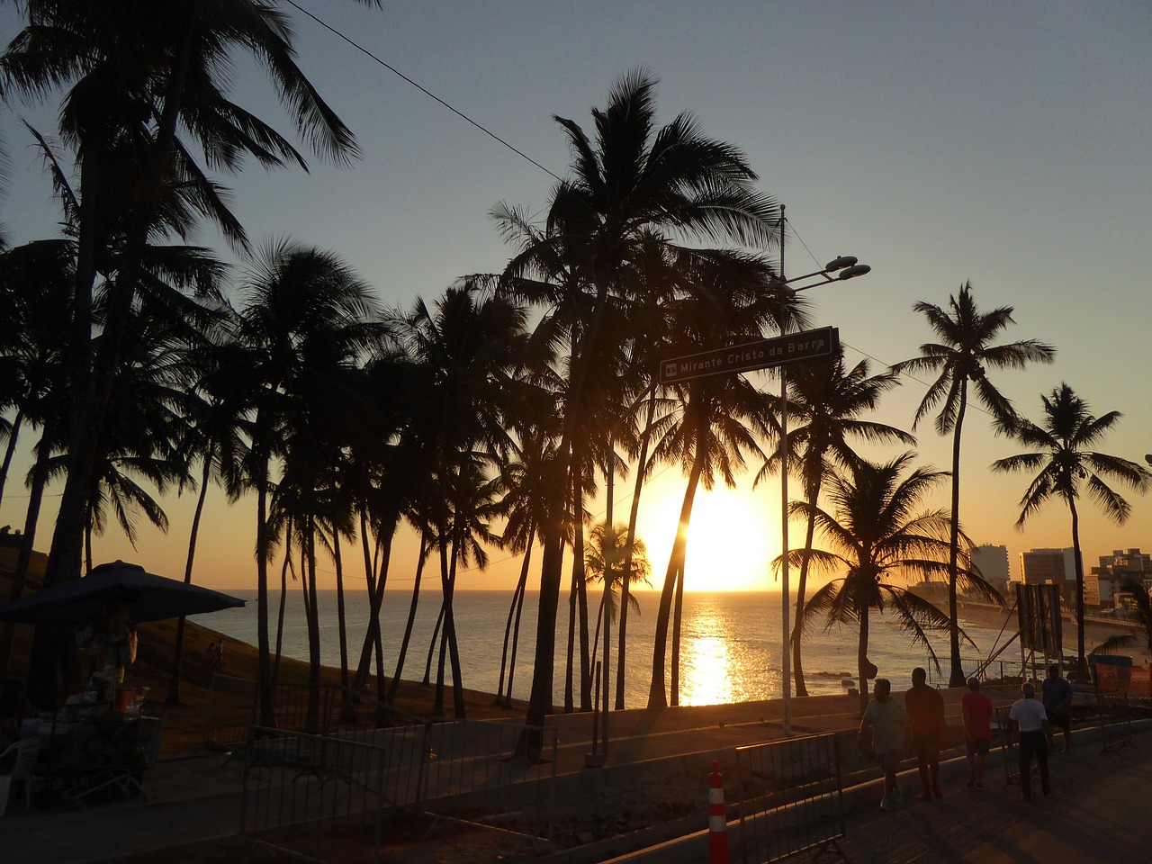 sunset palm trees bahia free photo
