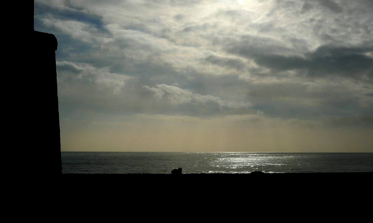 sunset evening sky sea free photo