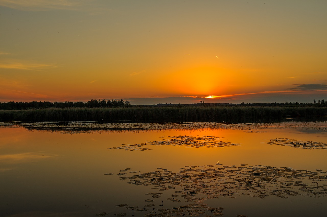 sunset spring lake bad buchau free photo