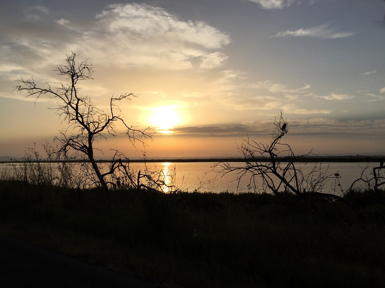 sunset nature pond free photo