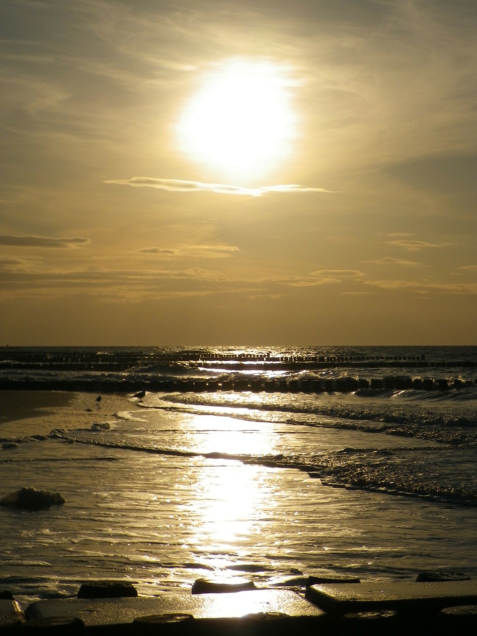 sunset baltic sea evening sky free photo