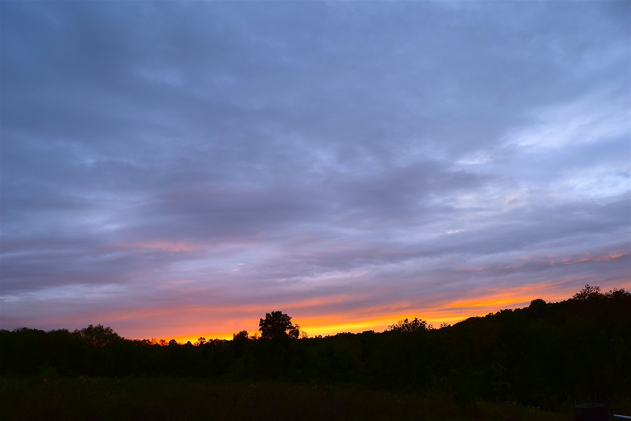 sunset sky trees free photo