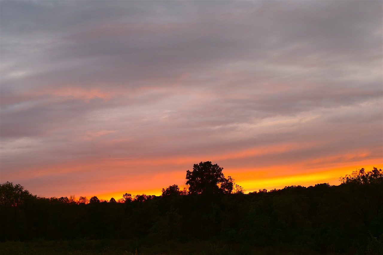 sunset sky trees free photo