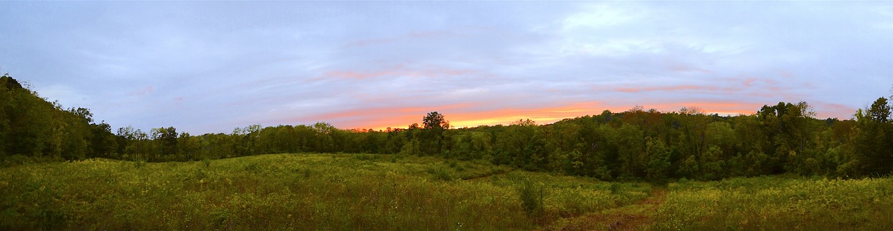 sunset sky trees free photo