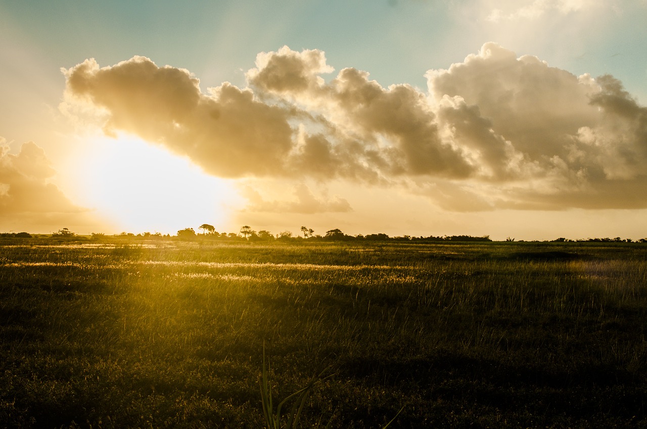 sunset clouds nature free photo