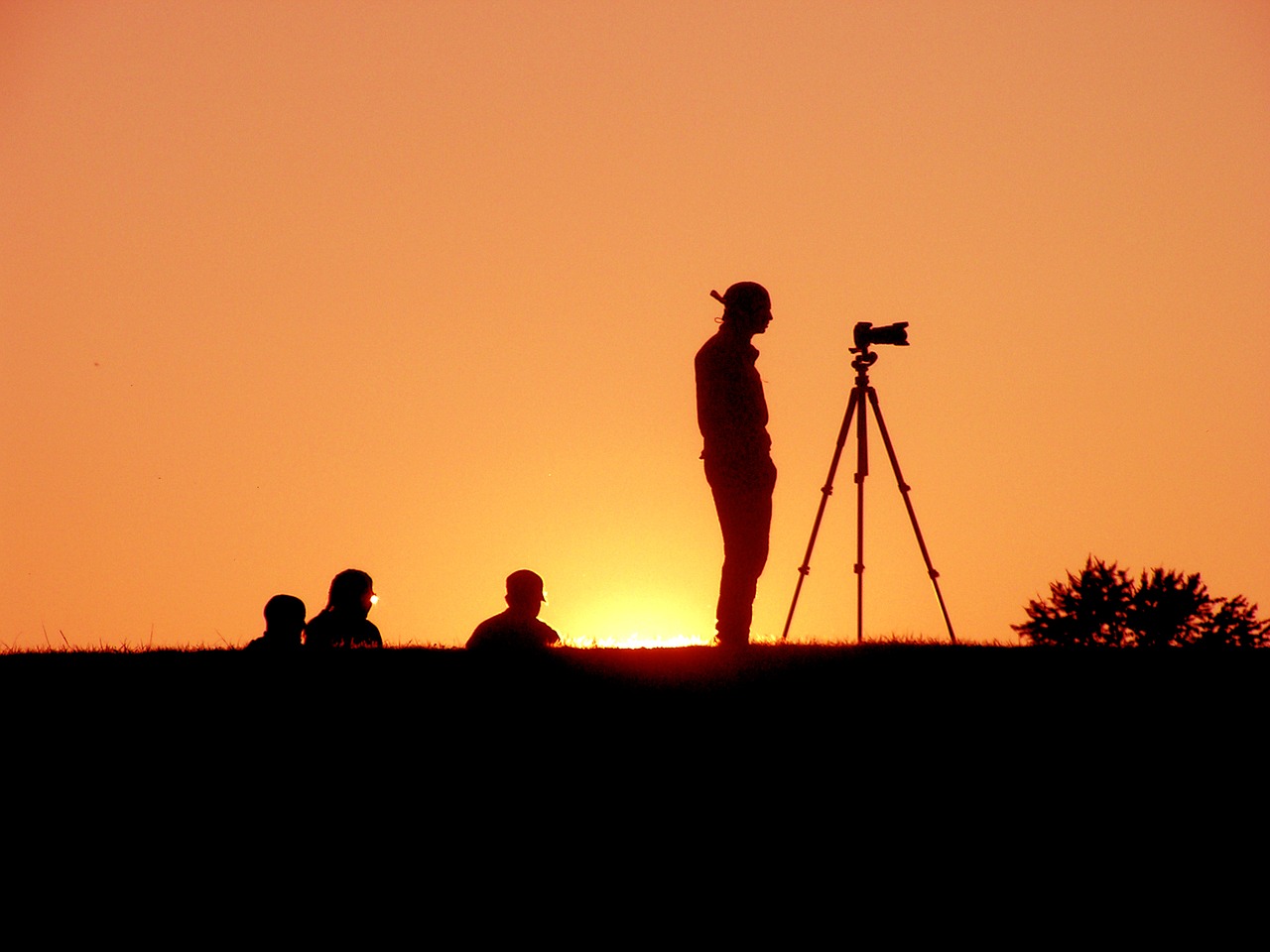 sunset evening silhouettes free photo