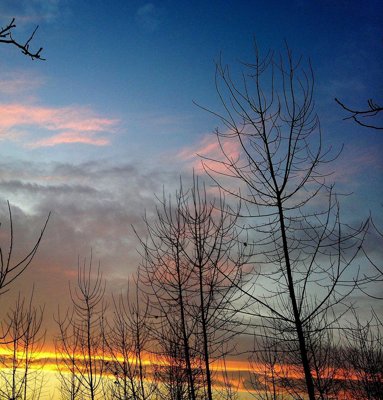 sunset sky blue free photo