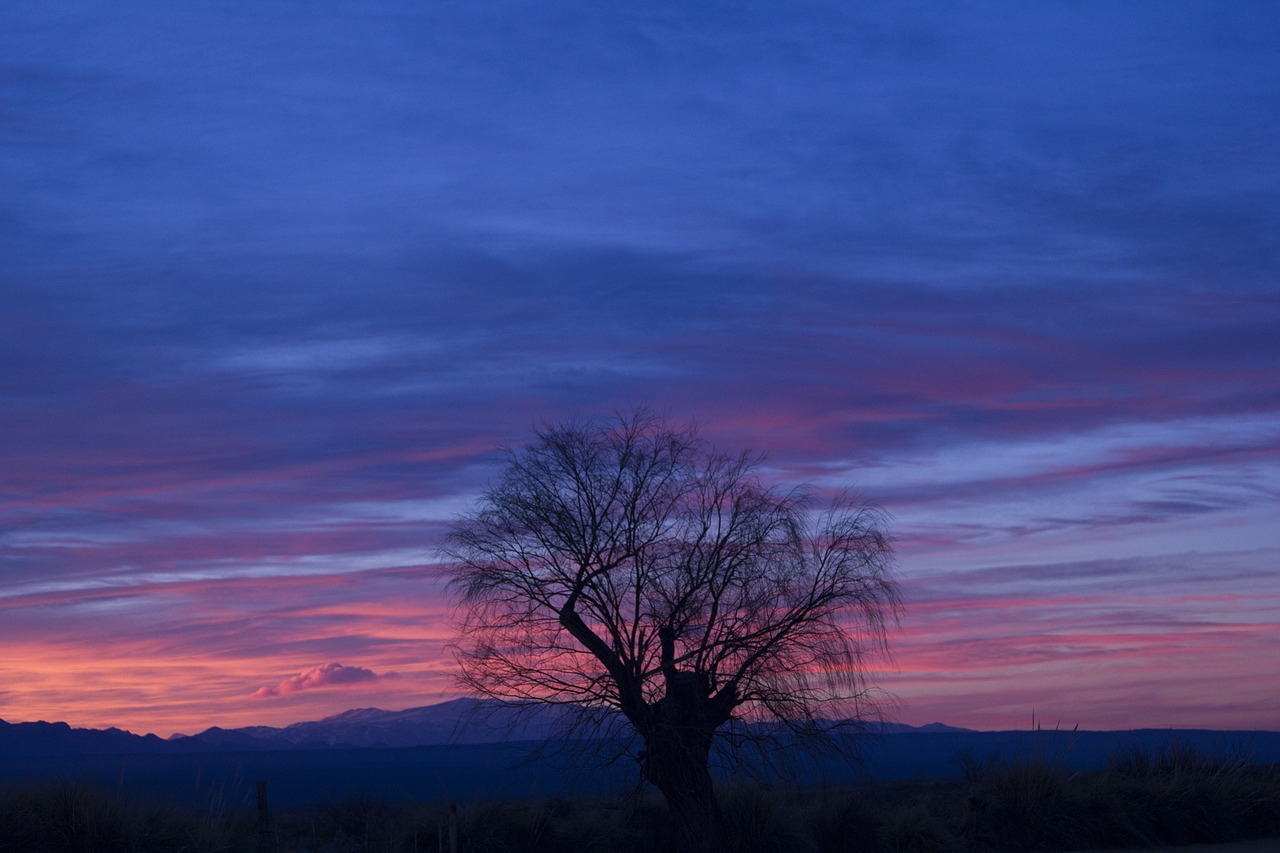 sunset argentina mendoza free photo