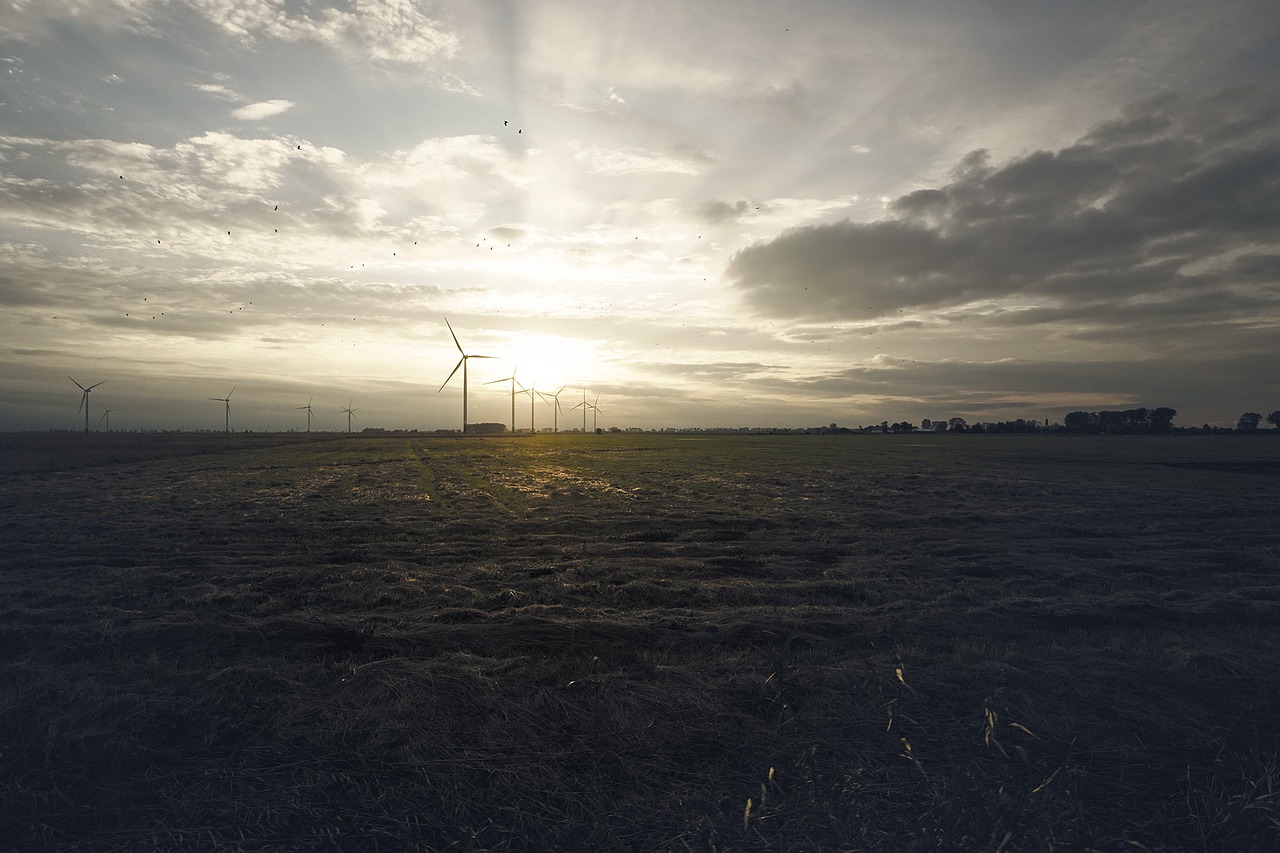 sunset the windmills evening free photo