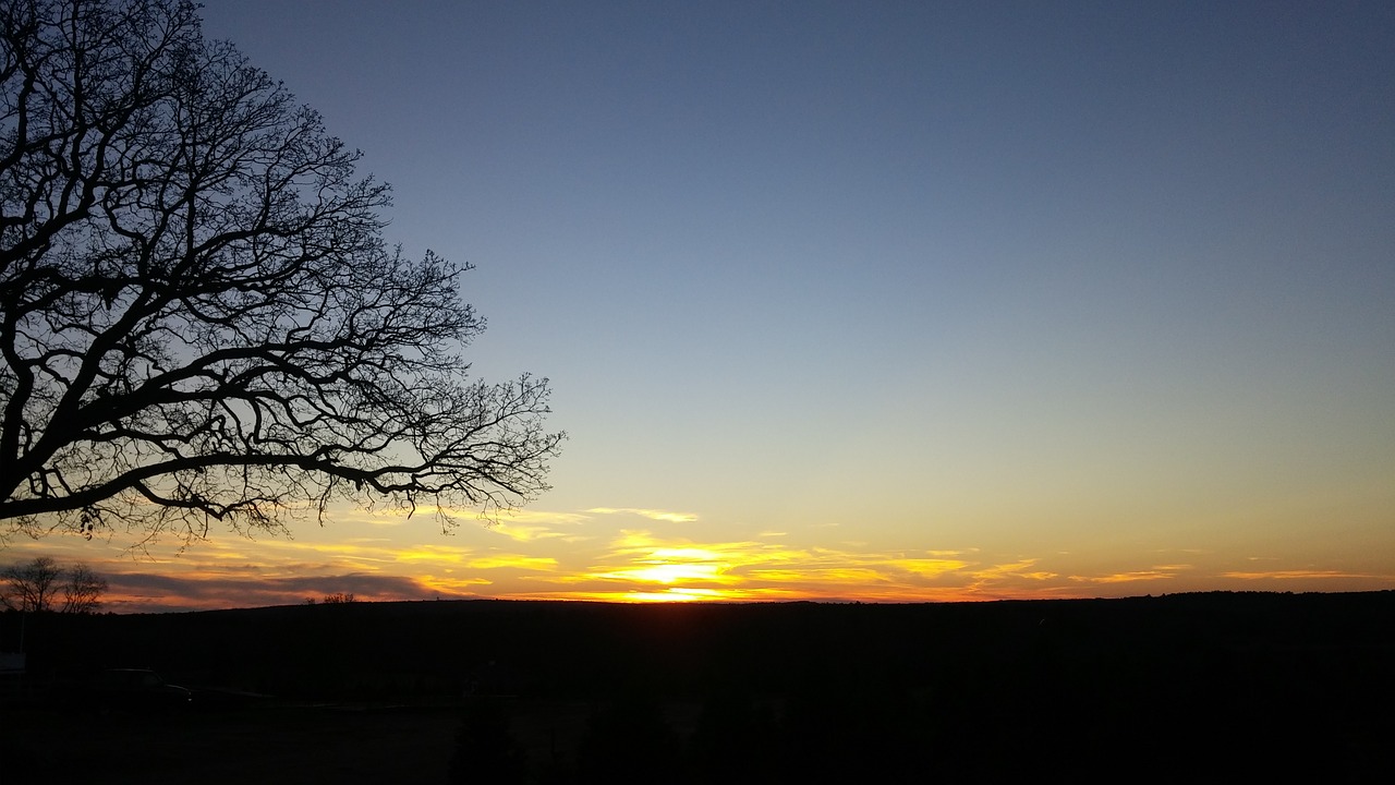 sunset winter tree free photo