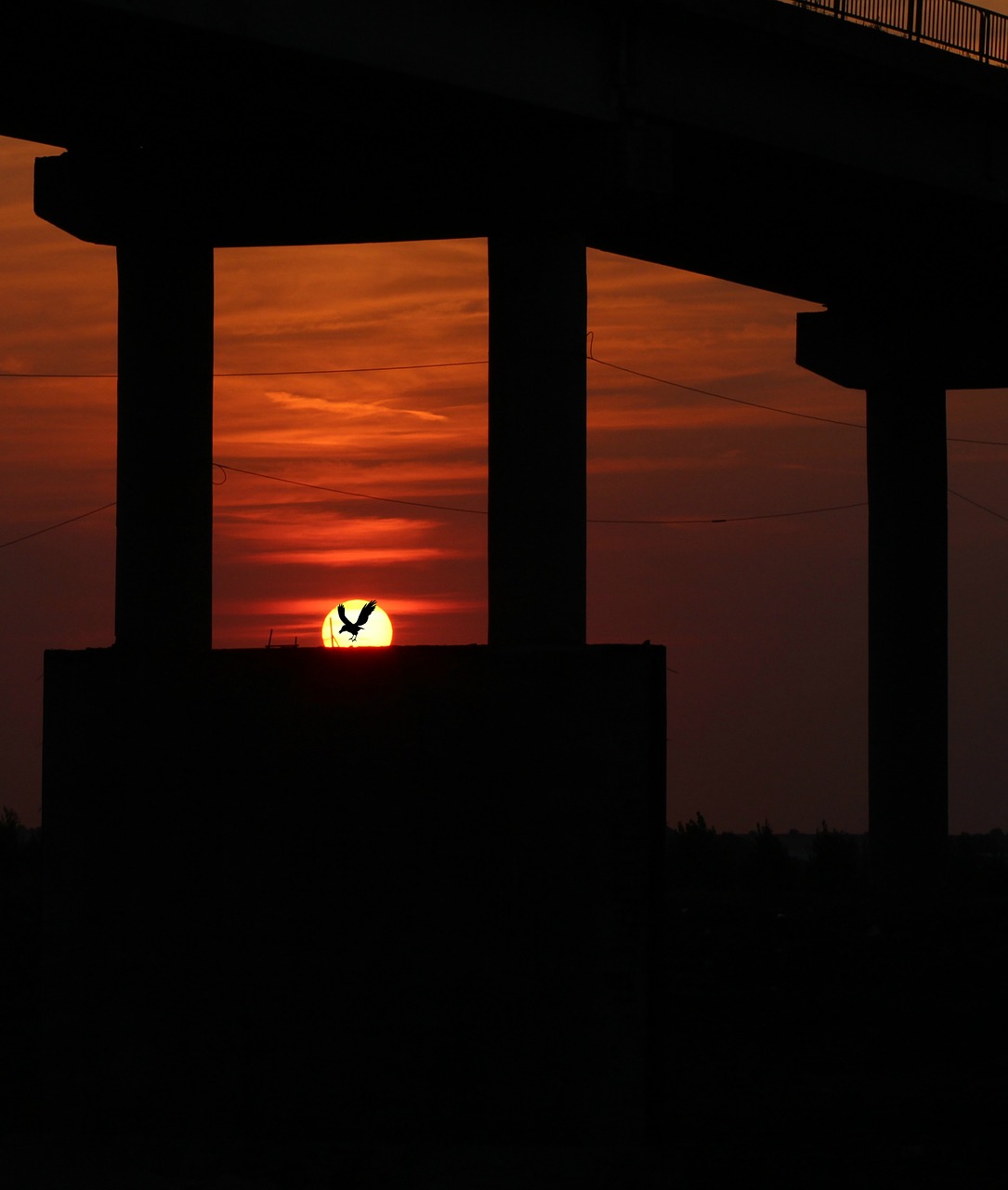 sunset bridge sky free photo