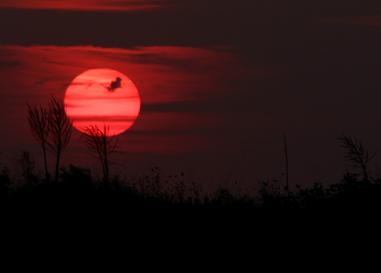 sunset sky cloud free photo