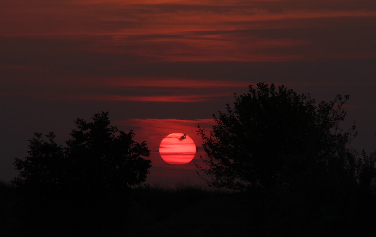 sunset sky cloud free photo