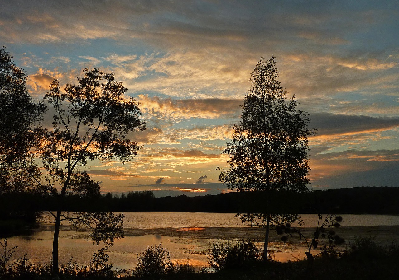 sunset pond nature free photo