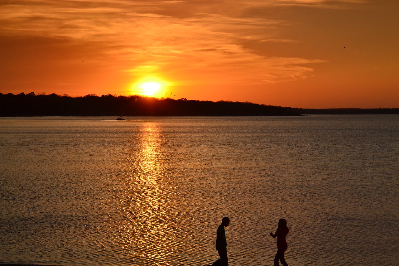 sunset horizon nature free photo