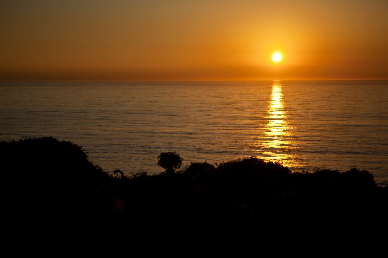 sunset water ocean free photo