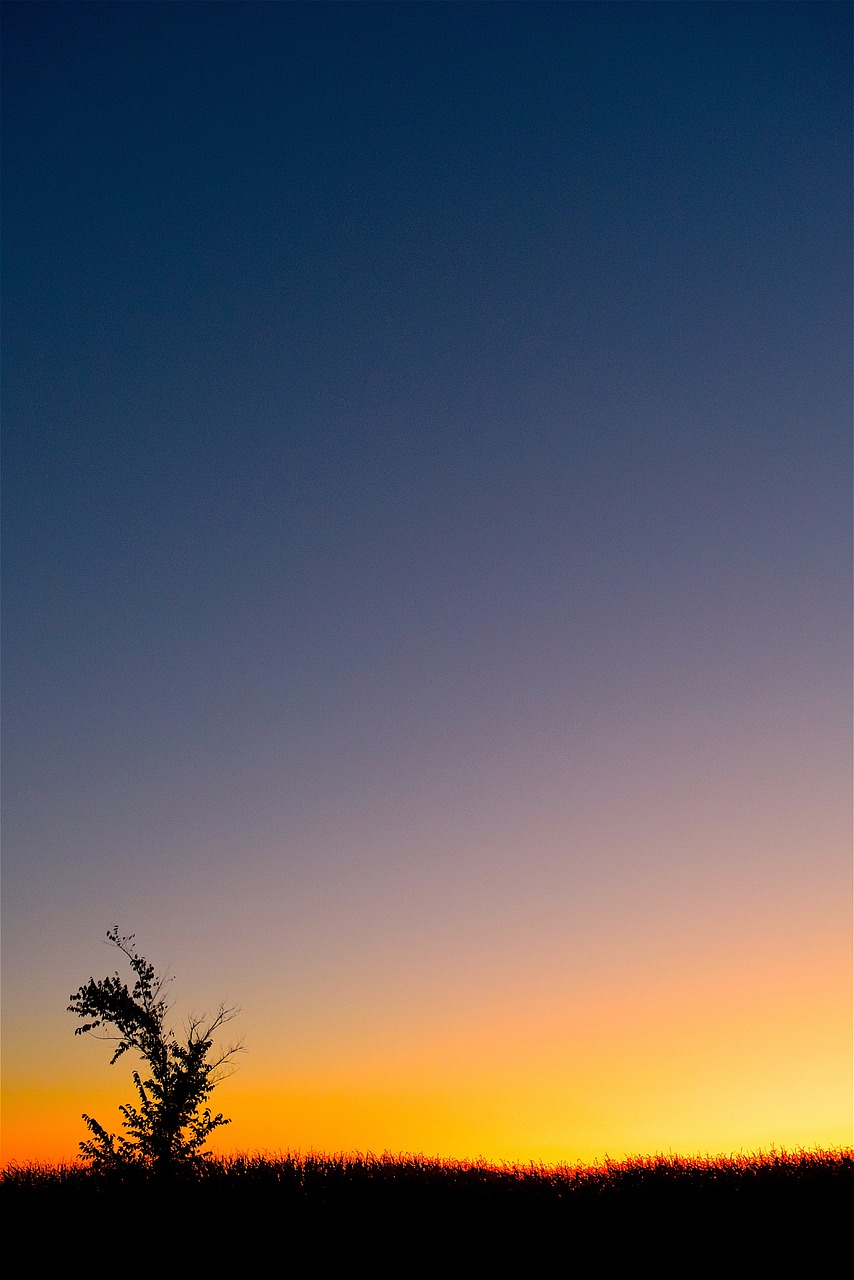 sunset horizon colorful free photo