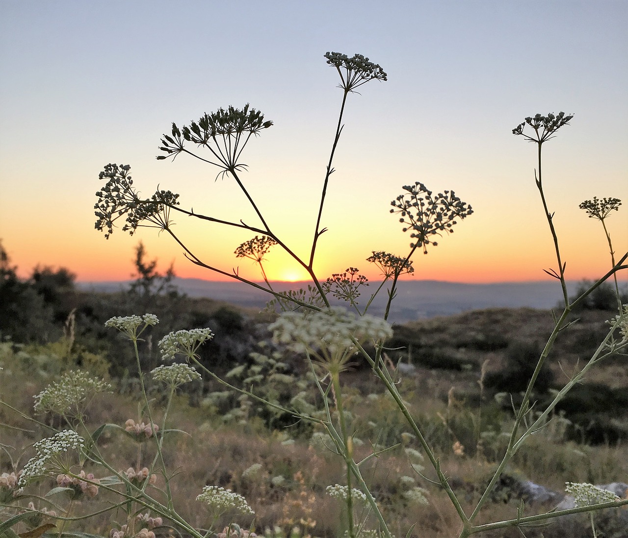 sunset coucher de soleil free pictures free photo