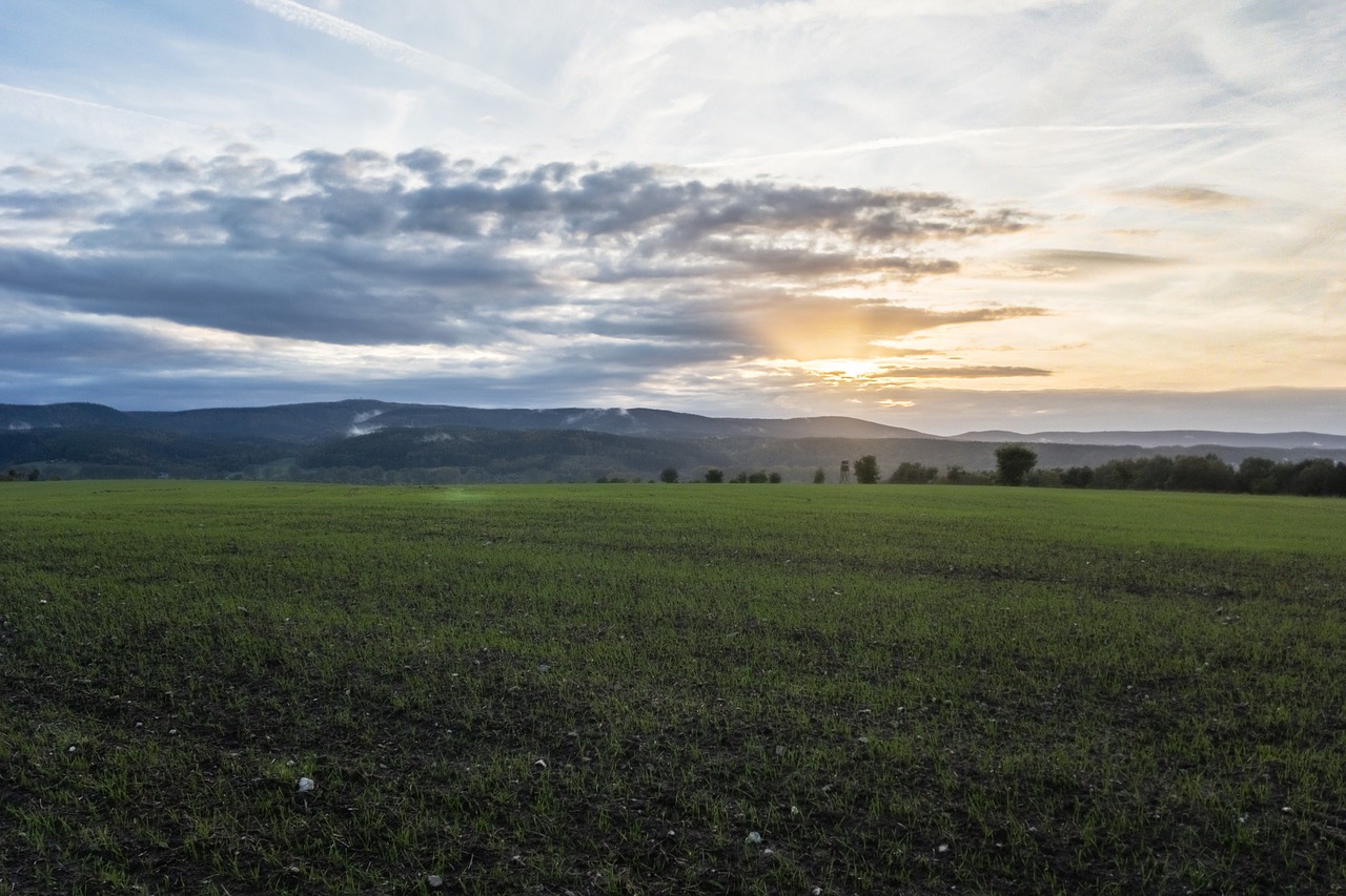 sunset meadow money free photo