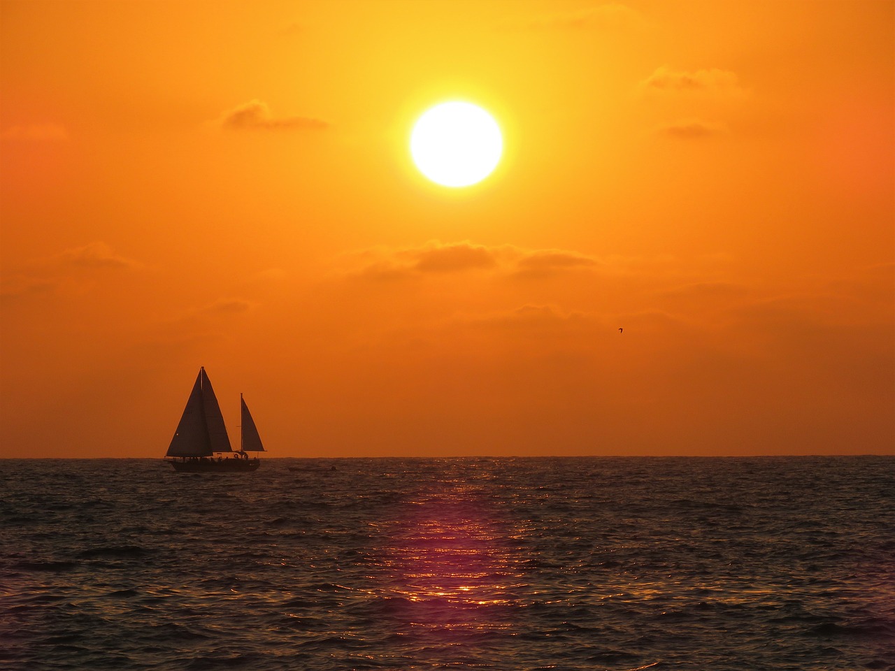 sunset sailboat puerto vallarta free photo