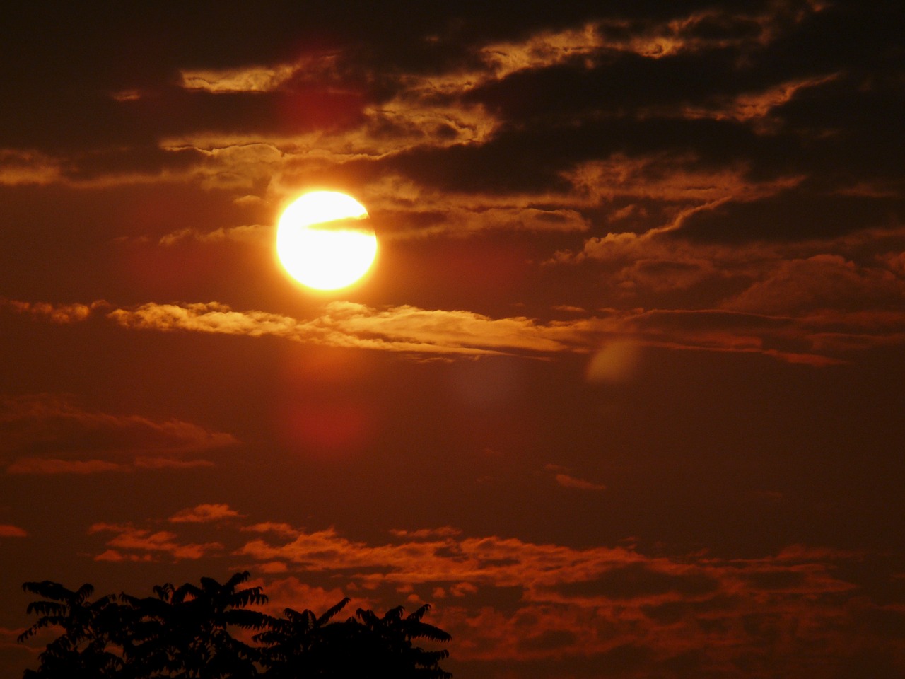 sunset evening evening sun free photo