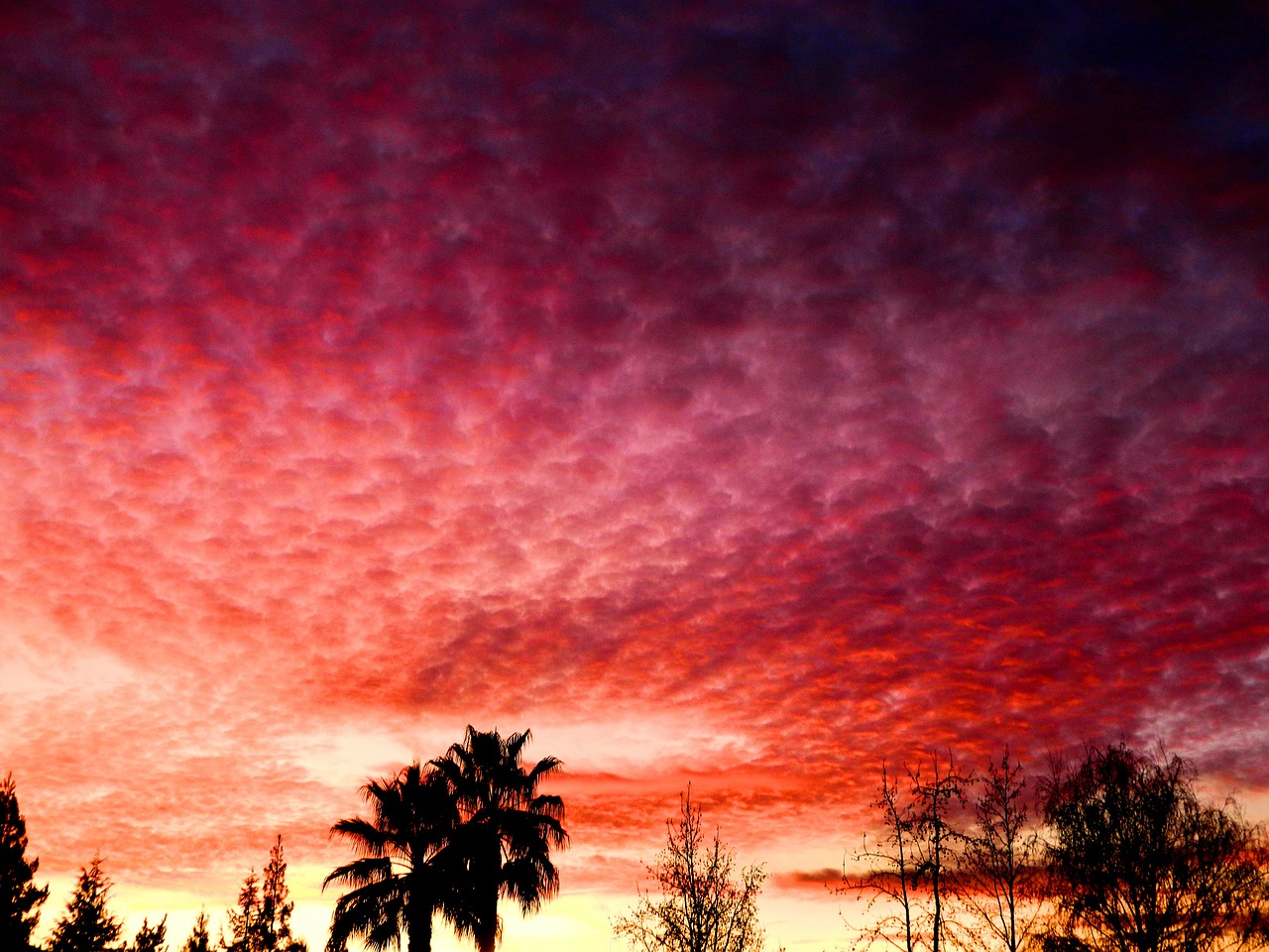 sunset sky clouds free photo