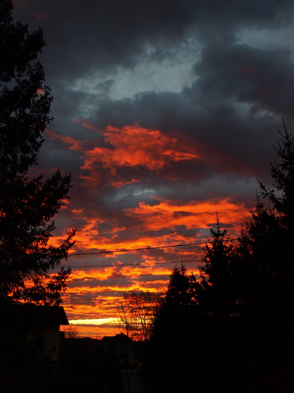 sunset orange sky free photo