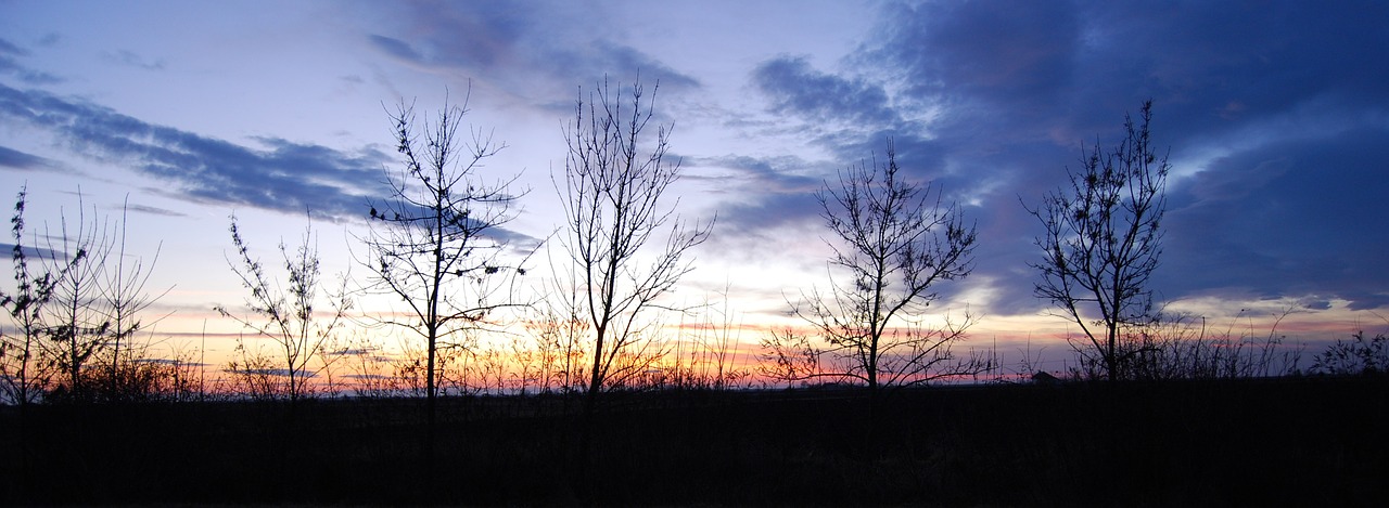 sunset color cloud free photo