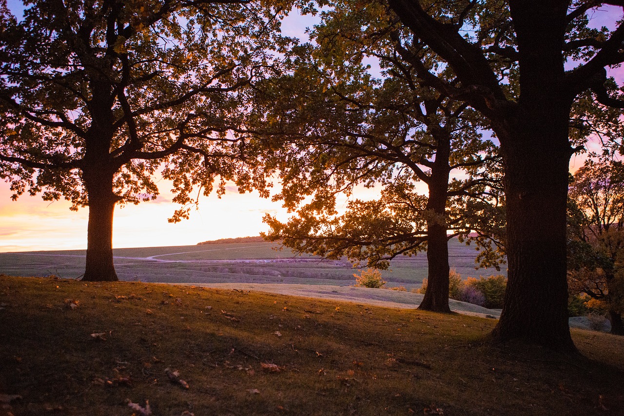 sunset suceava travel free photo