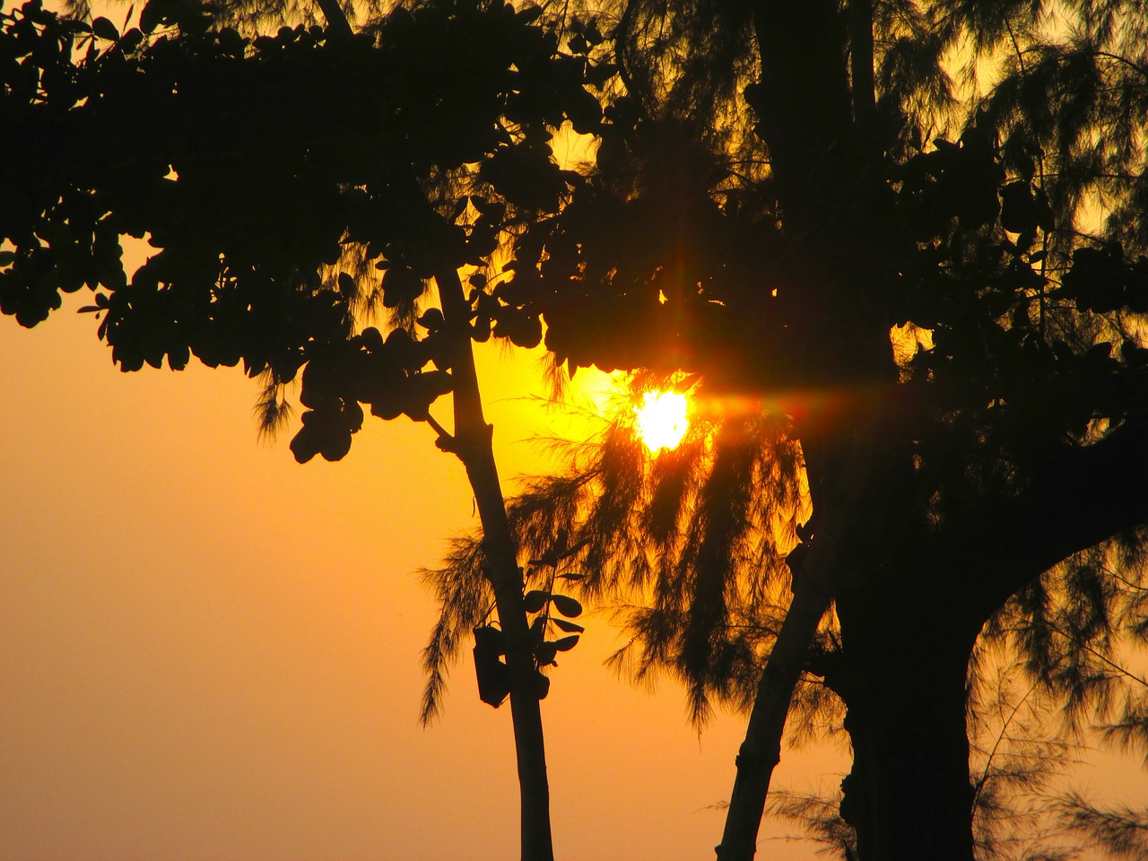 sunset evening sky thailand free photo