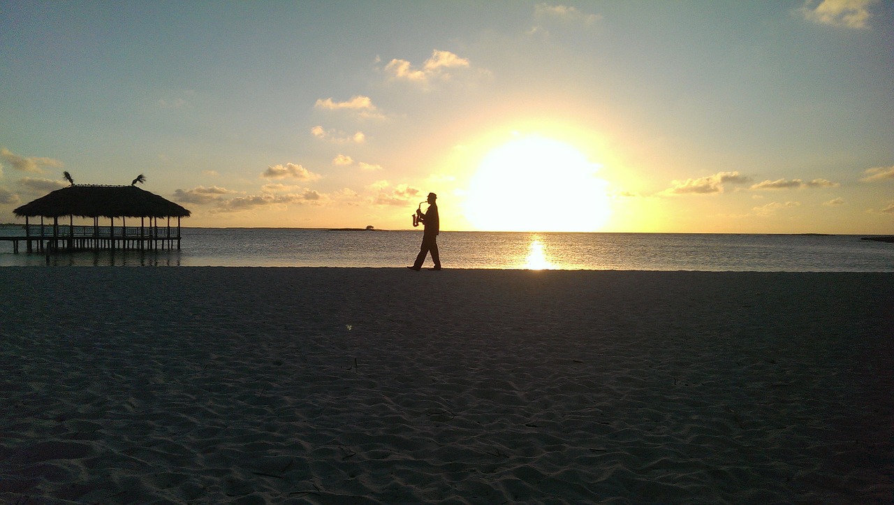 sunset beach saxophonist free photo