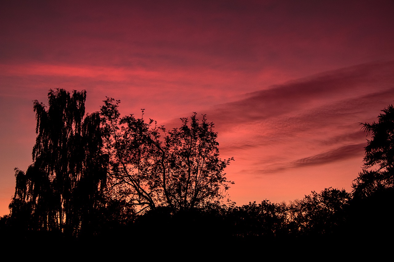 sunset sky denmark free photo