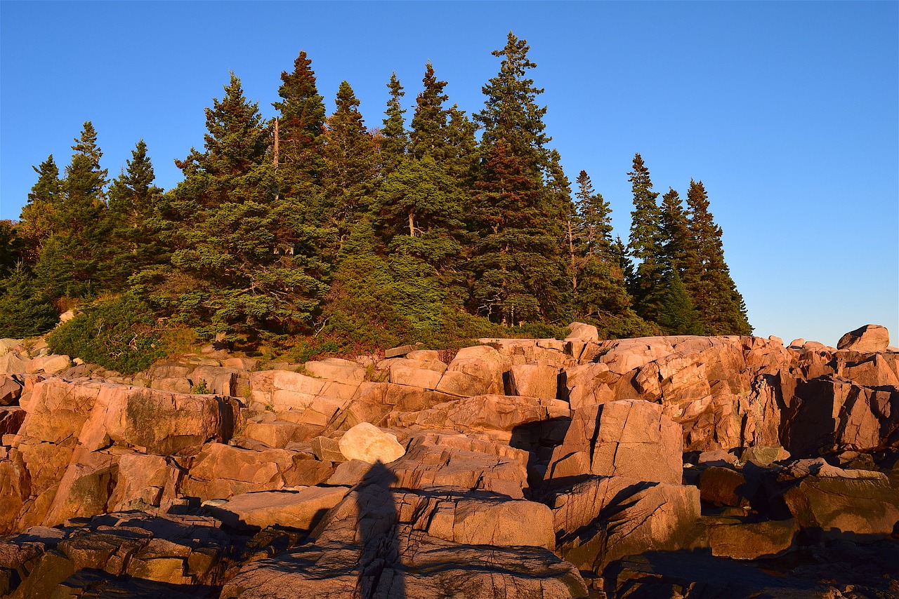 sunset trees rocks free photo