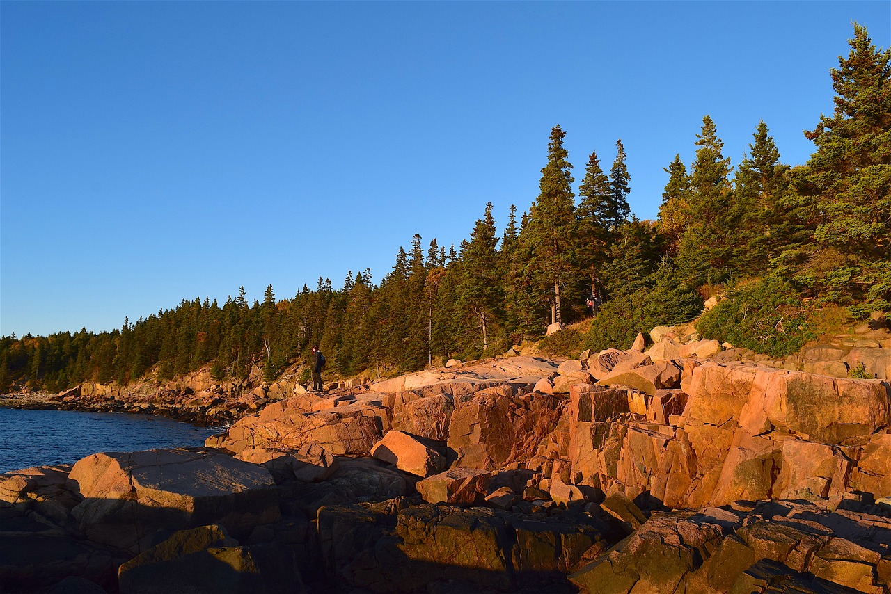 sunset trees rocks free photo