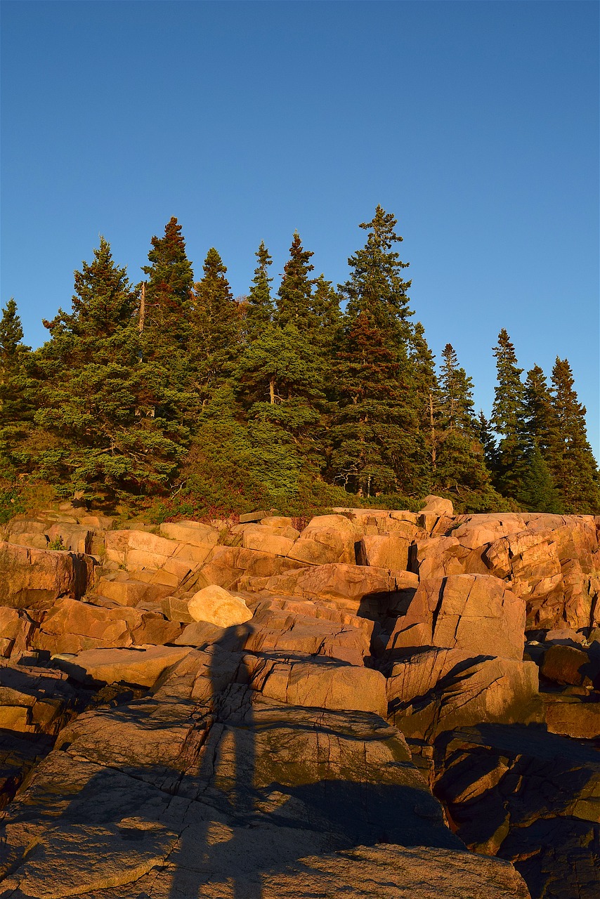 sunset trees rocks free photo